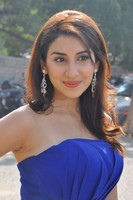 Parul Gulati Gallery